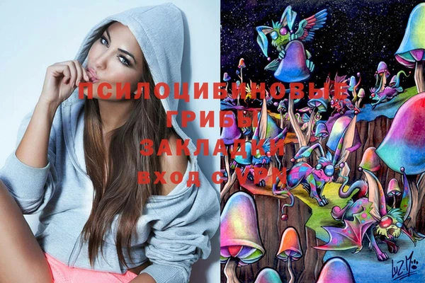 spice Алексин